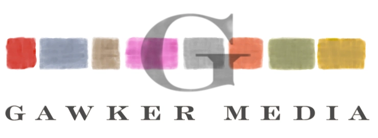 Miljardair Peter Thiel wil Gawker kopen