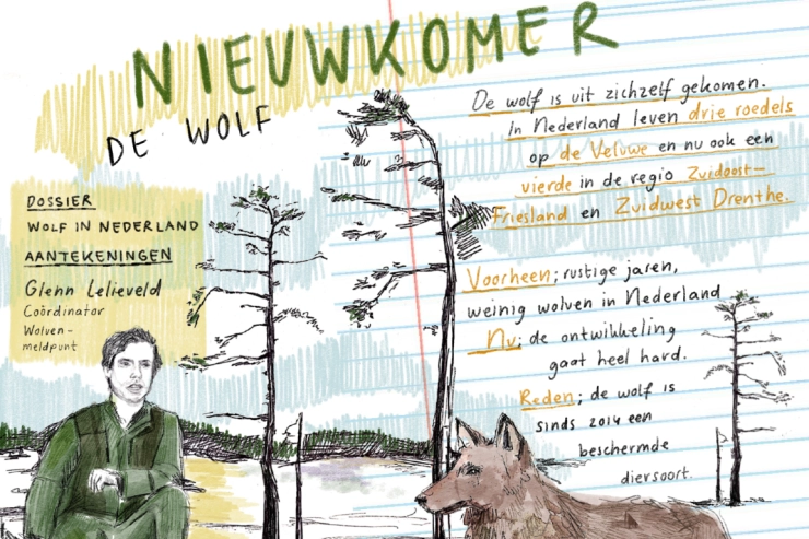 Willemijn Schilten maakt graphic journalism voor NRC: ‘Het voelt een beetje als een ondergeschoven kindje’