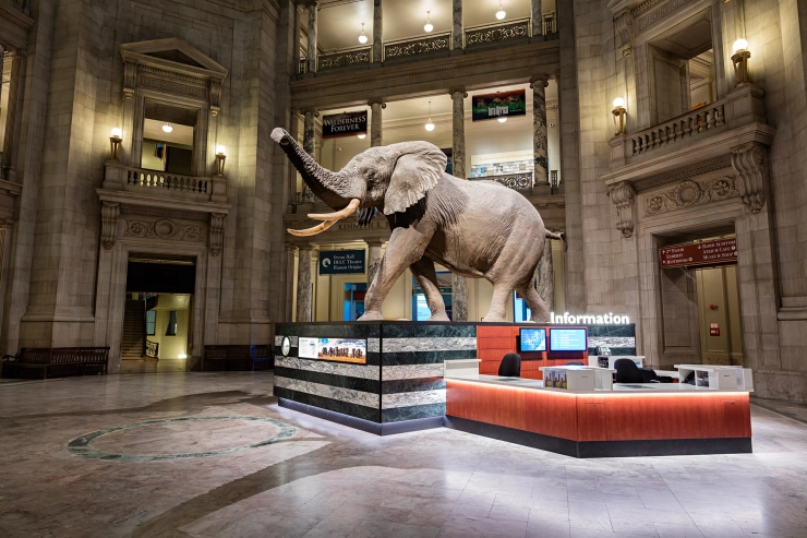 Smithsonian Museum stelt 2,8 miljoen foto’s rechtenvrij beschikbaar