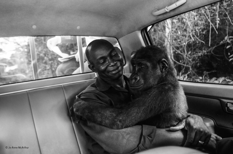 Hoopvolle foto wint Wildlife Photographer of the Year Award 2017